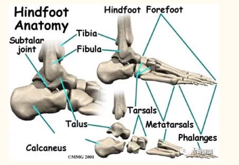 ����ҽ�ƣ����ǿ���ҽ������