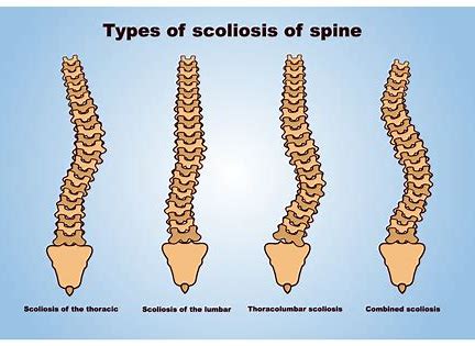 ���Ǽ��������������