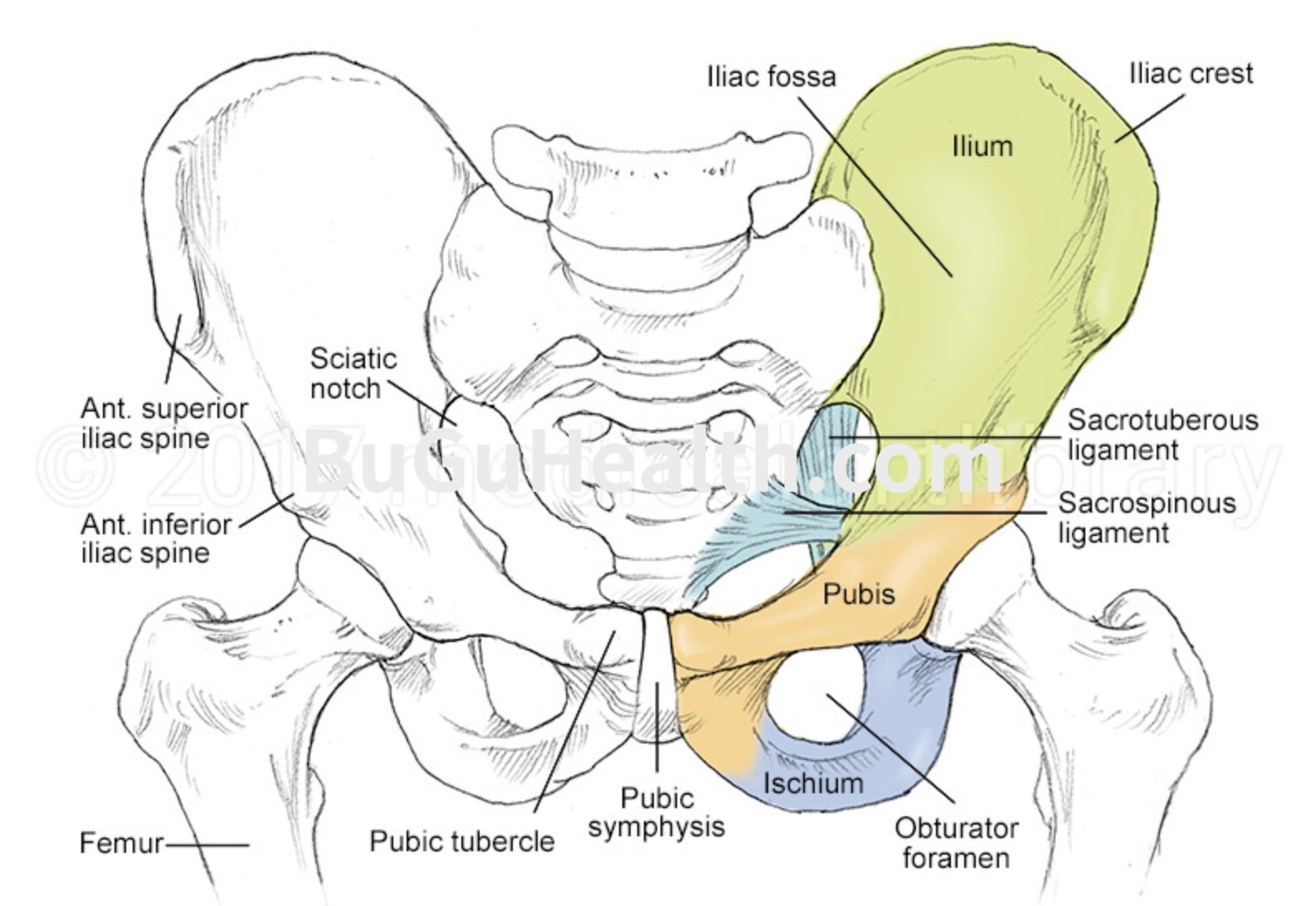 ���ǲ���ָ�����