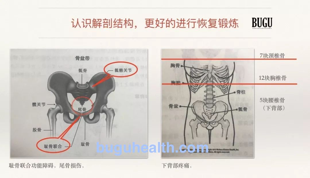 ���ǲ���ָ�����