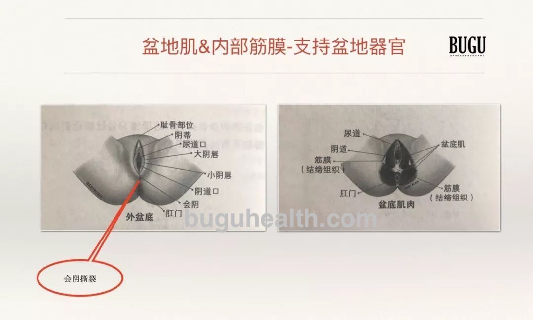 ���ǲ���ָ�����