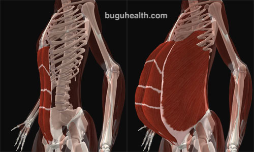 ���ǲ���ָ�����