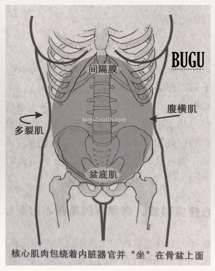 ���ǲ���ָ�����