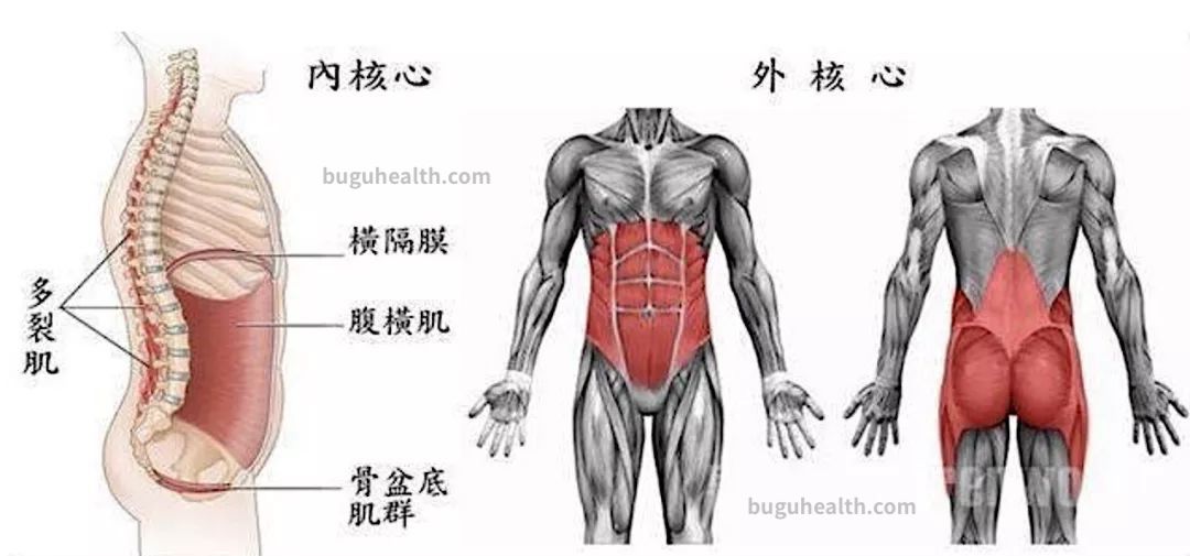 ���ǲ���ָ�����