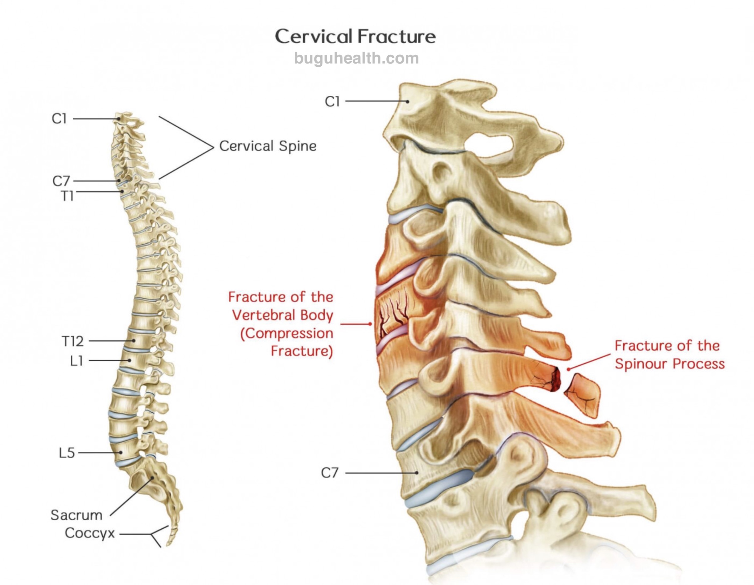 �����˶���������