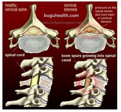 �����˶�����ҽ������