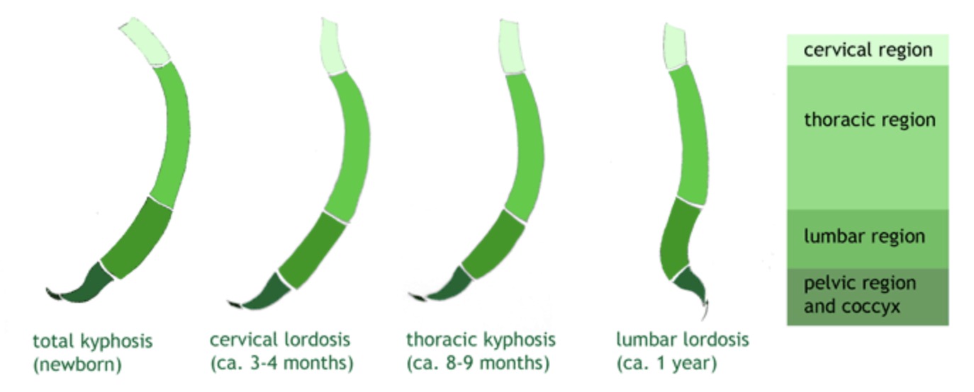 ���Ǽ��������������