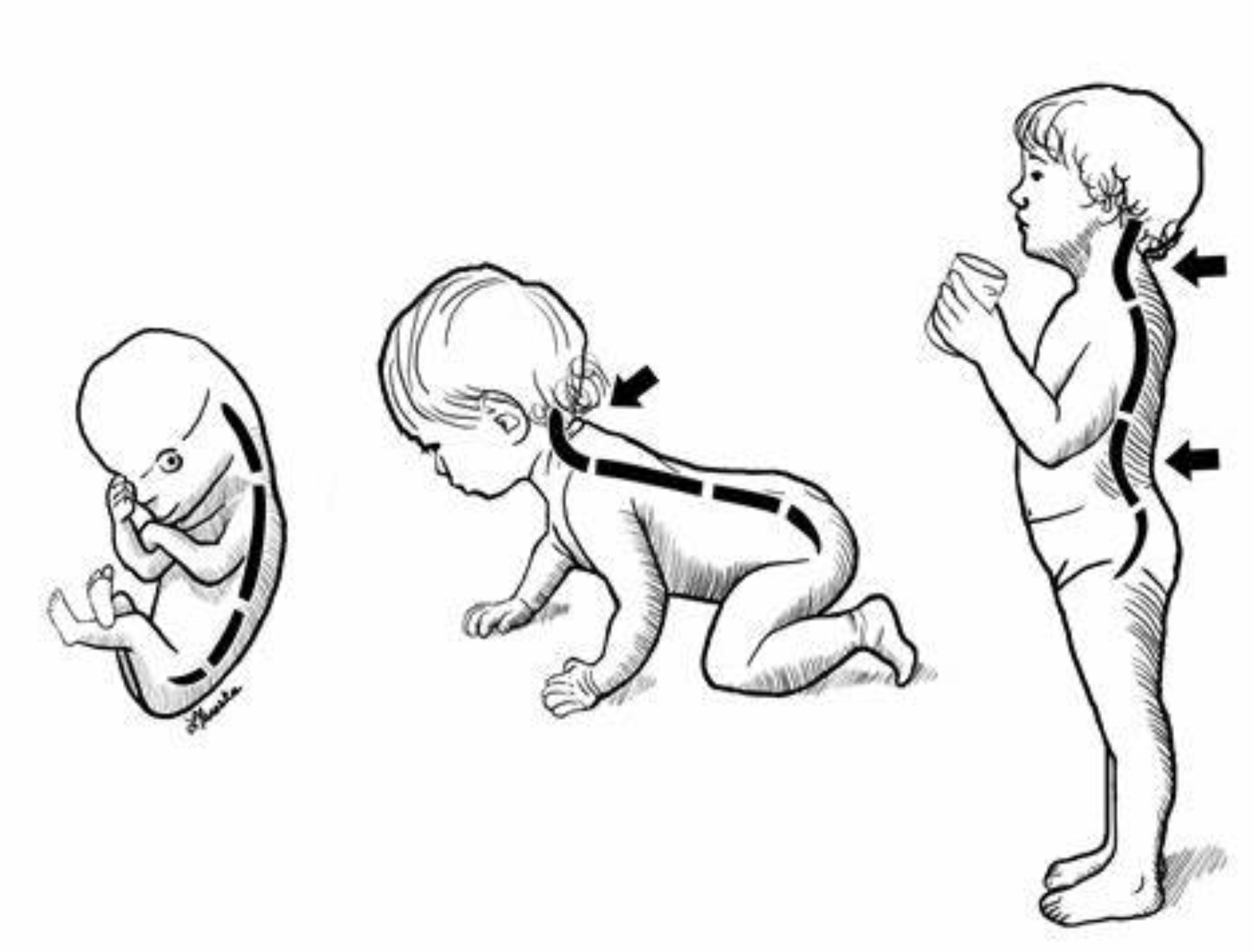 ���Ǽ��������������