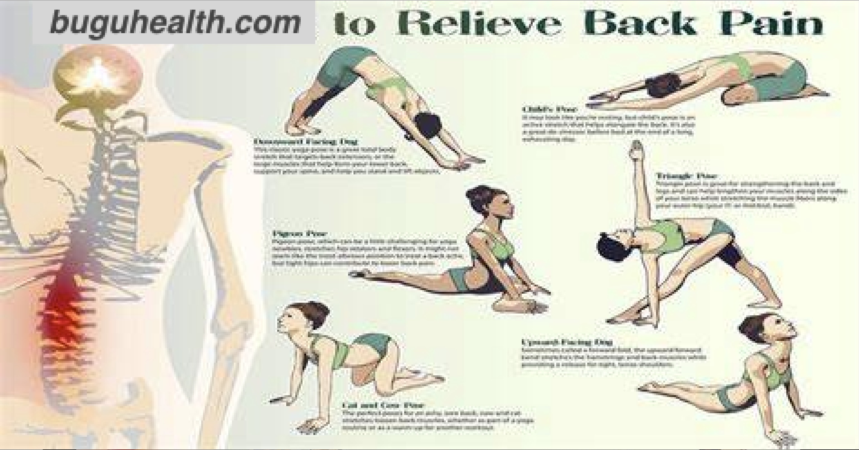 ���Ǽ��������������