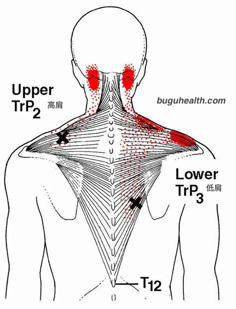 �ߵͼ�/���Ǽ��������������