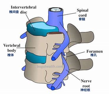 �����ʹ�/���ǿ���ҽ������