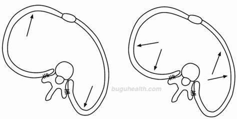 �����������ģʽ/����