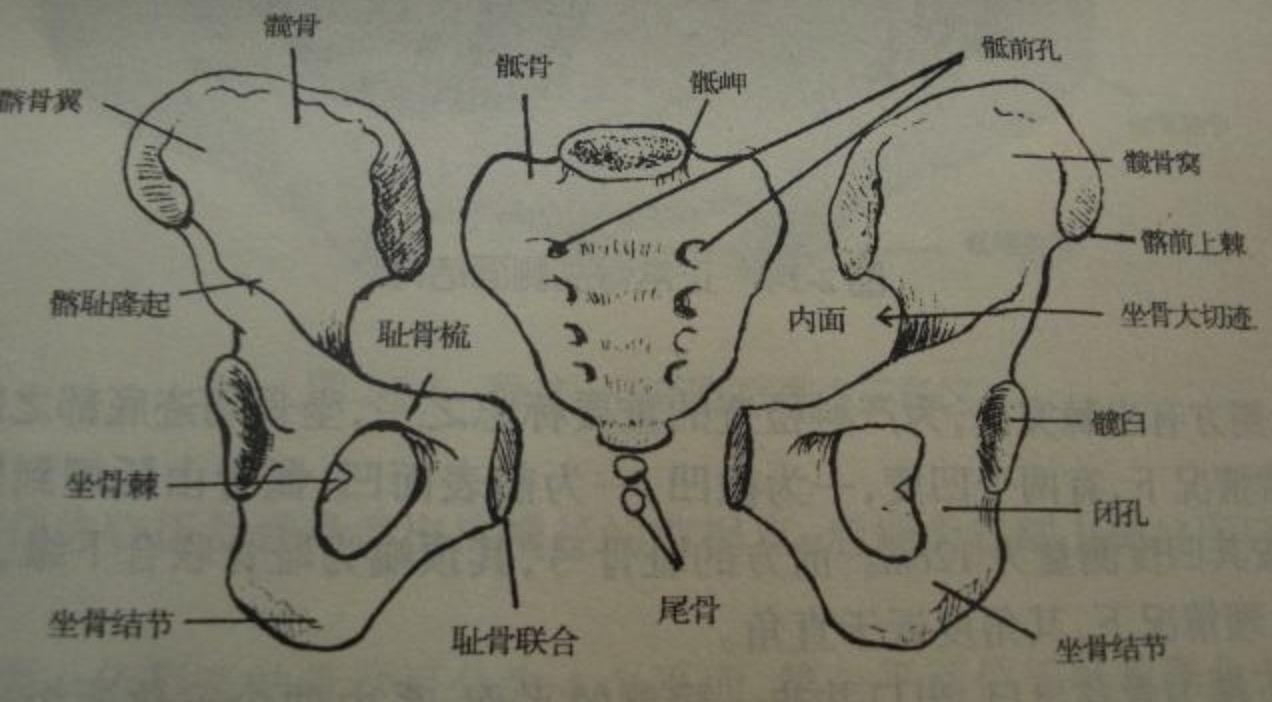 ����/����/����