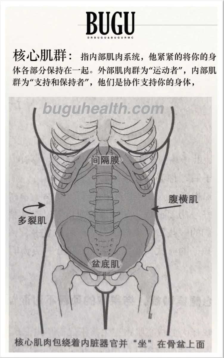 ���ǲ���ָ�����