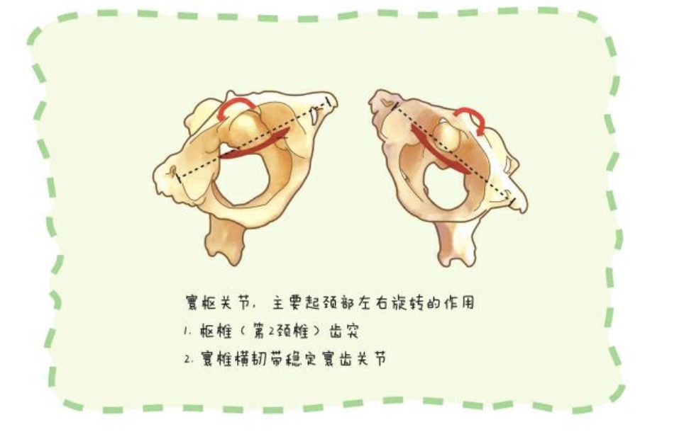 ���Ǽ�����ʹ����