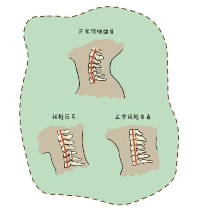 ���Ǽ�����ʹ����