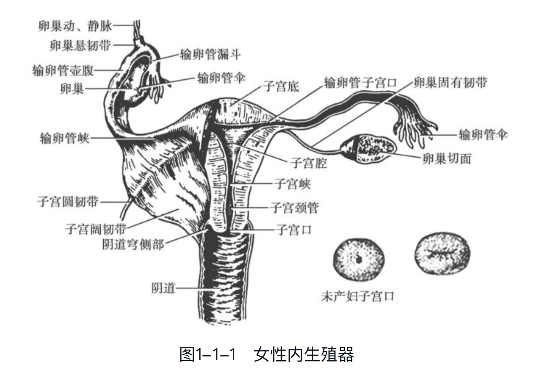 ���ǲ���ָ�����