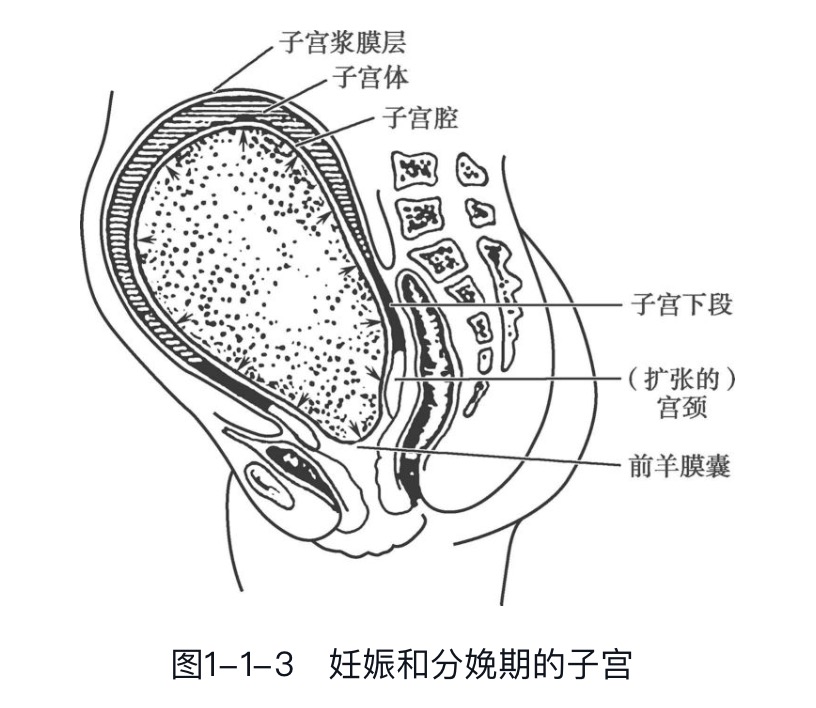 ���ǲ���ָ�����