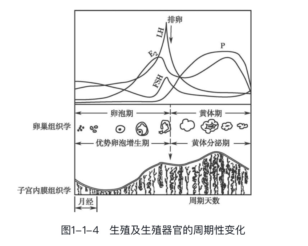 ���ǲ���ָ�����