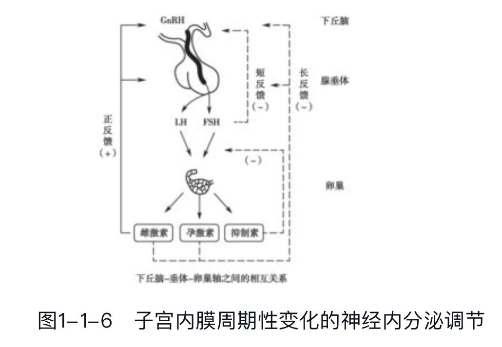�ӹ���Ĥ�����Ա仯