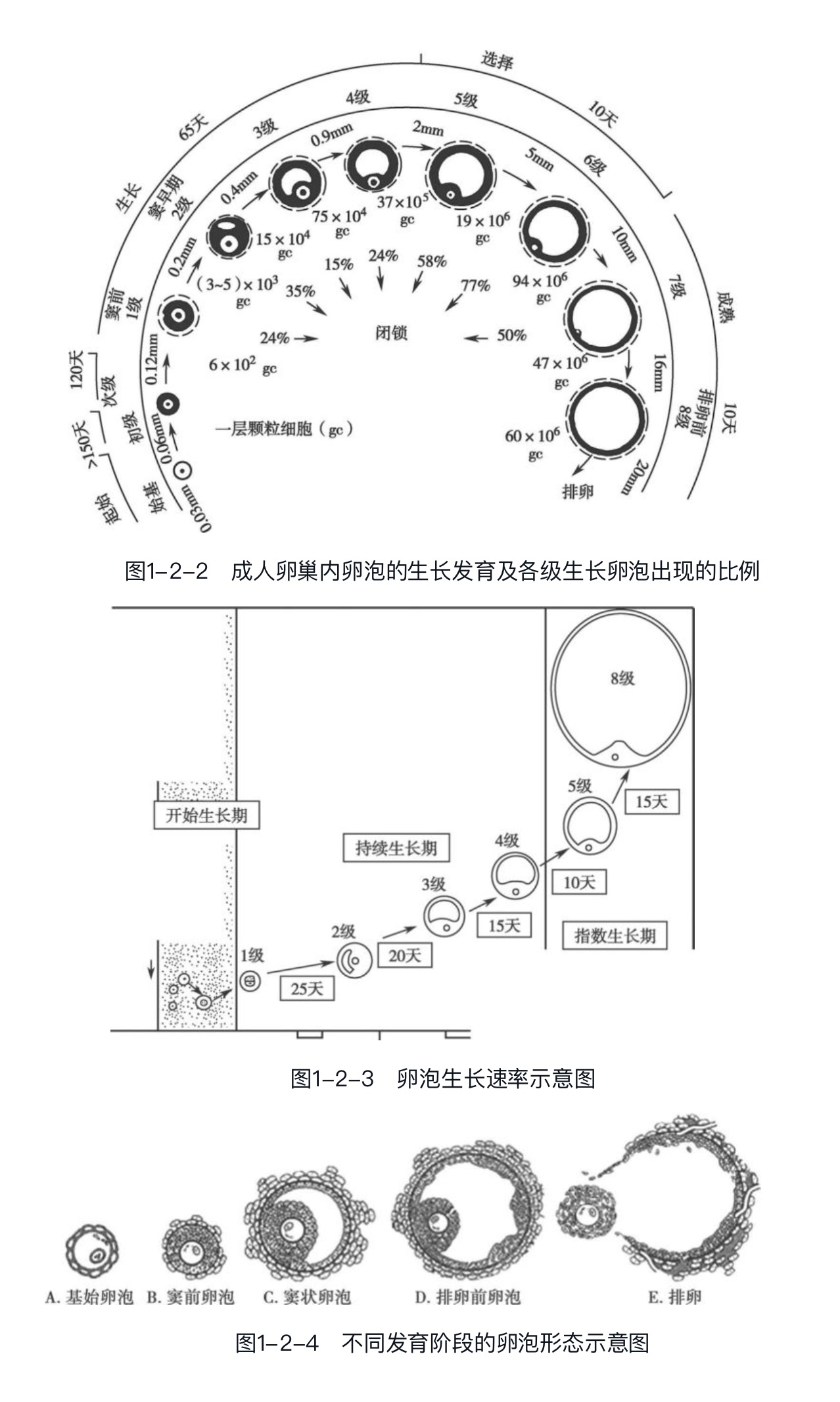 �ѳ�����