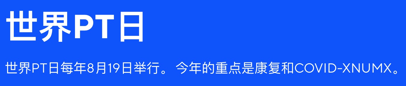 ����PT��/����