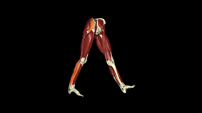 ��·��ʹ-����