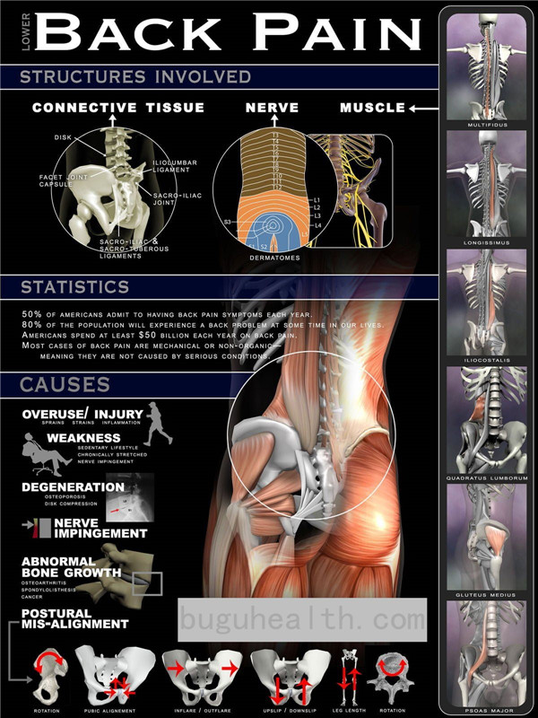 ����������ʹ ���� ������ʹ ��׵����ͻ��