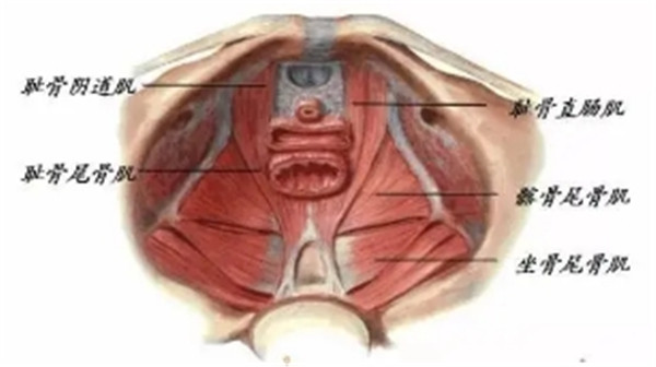 ��ʧ������׼�����������������ָ��������ǿ���