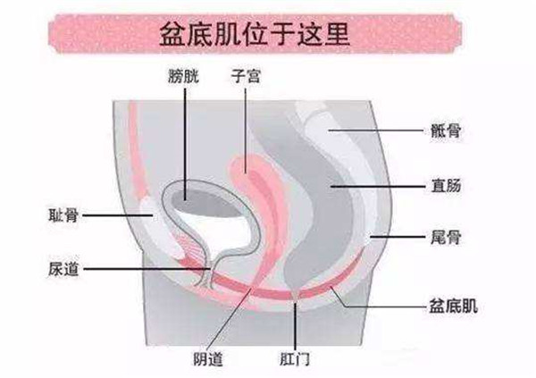 ��ʧ������׼�����������������ָ��������ǿ���