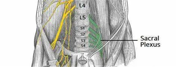 ��ʧ������׼�����������������ָ��������ǿ���