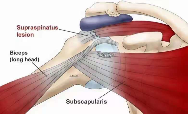 ���ǿ���ҽ������