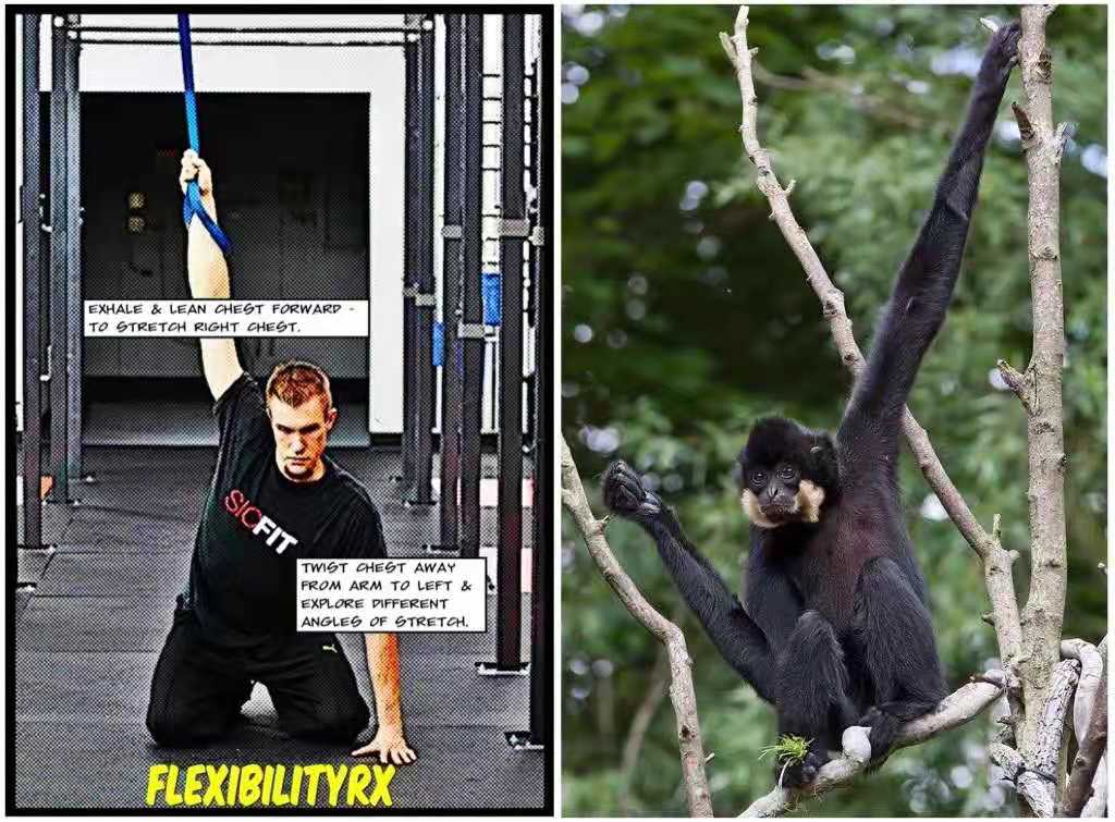 �����˶�����