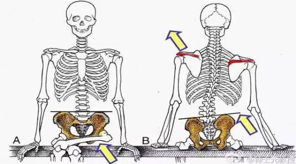 �����˶�����