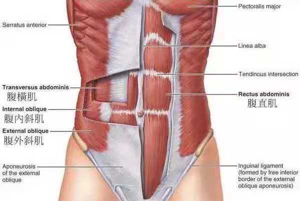 �����˶�����