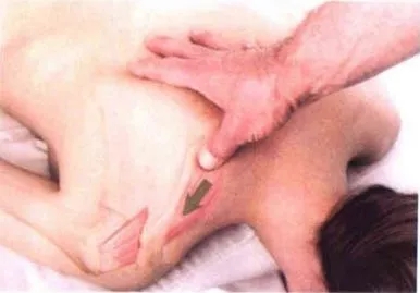 �����˶�����