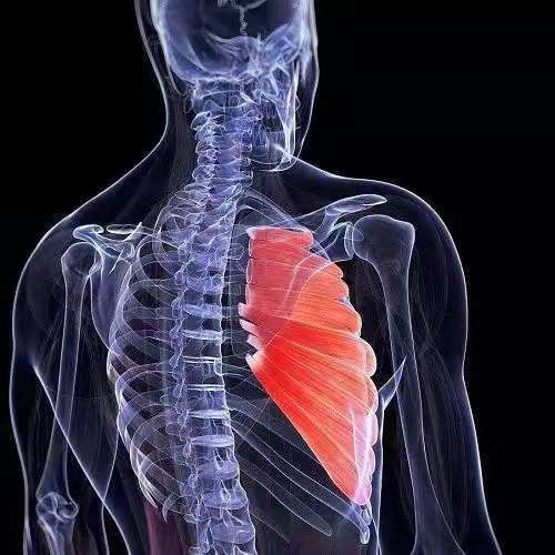 �����˶�����