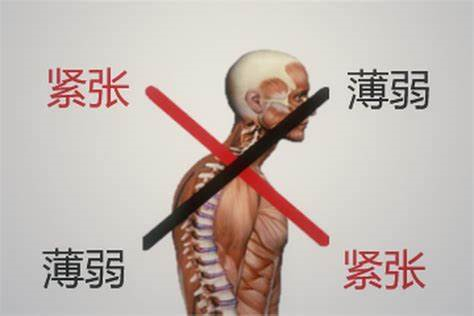 �����˶�����