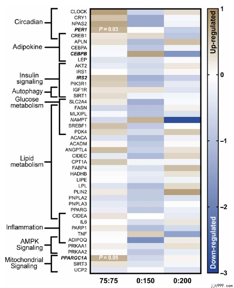 �������ģ��������䣬���ǿ���