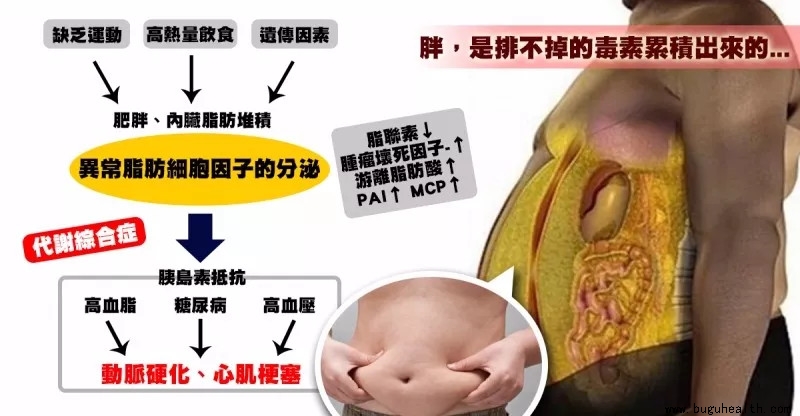 �������ģ���������