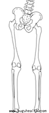 �����ȣ�������̬����