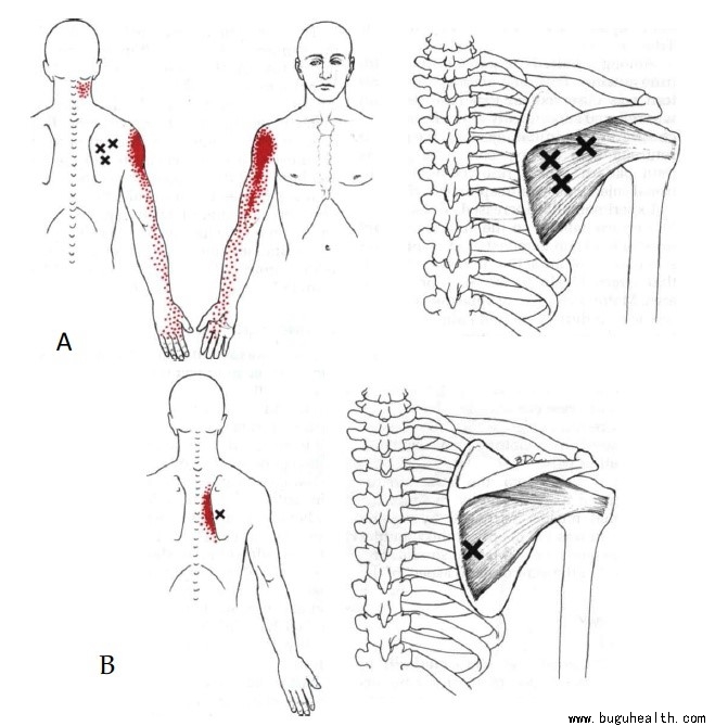 ���ǿ���ҽ������