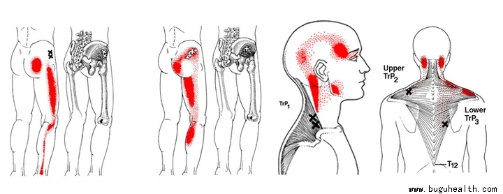 ���ǿ���ҽ������