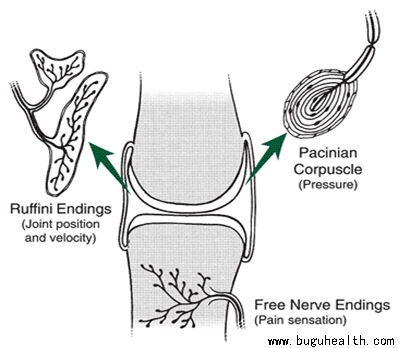 ���ǿ���ҽ������