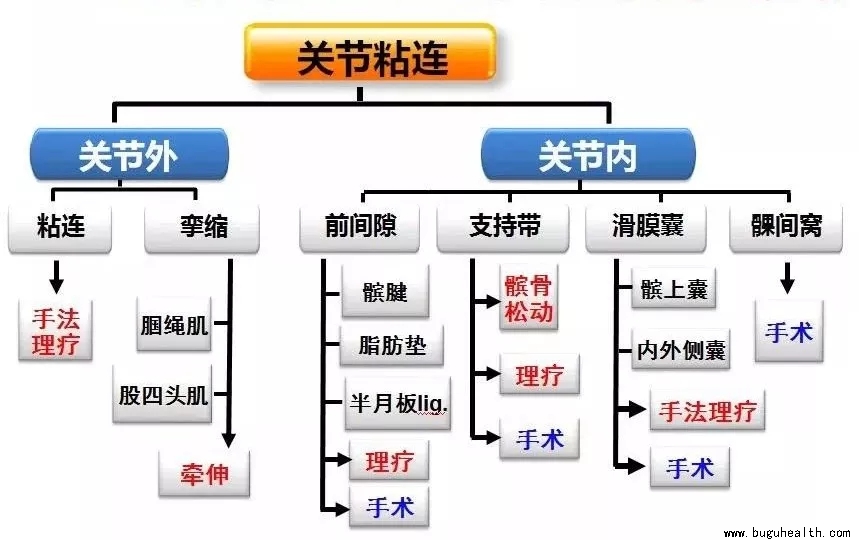 ���󿵸����˶�����