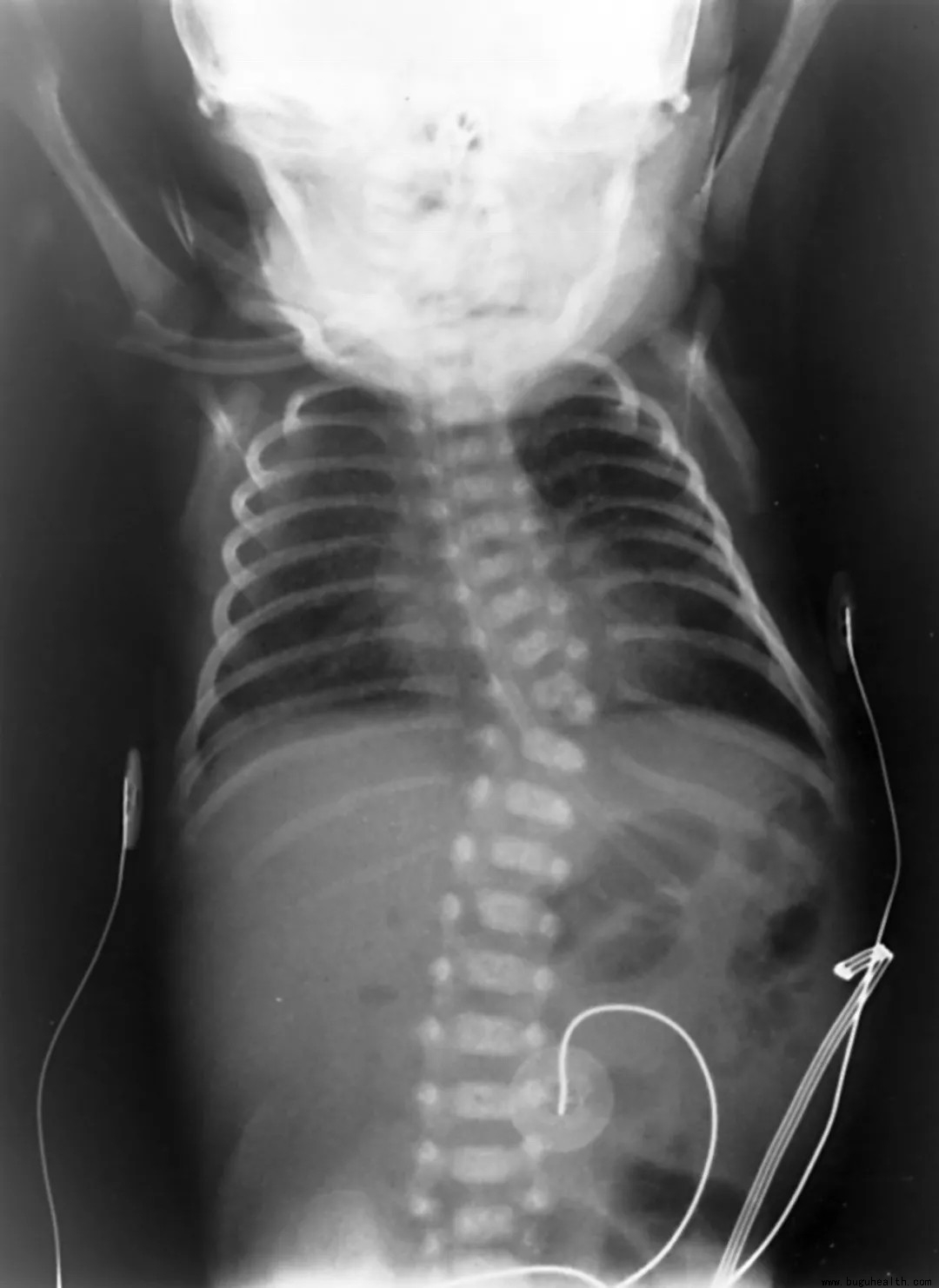 ���ǿ���ҽ������