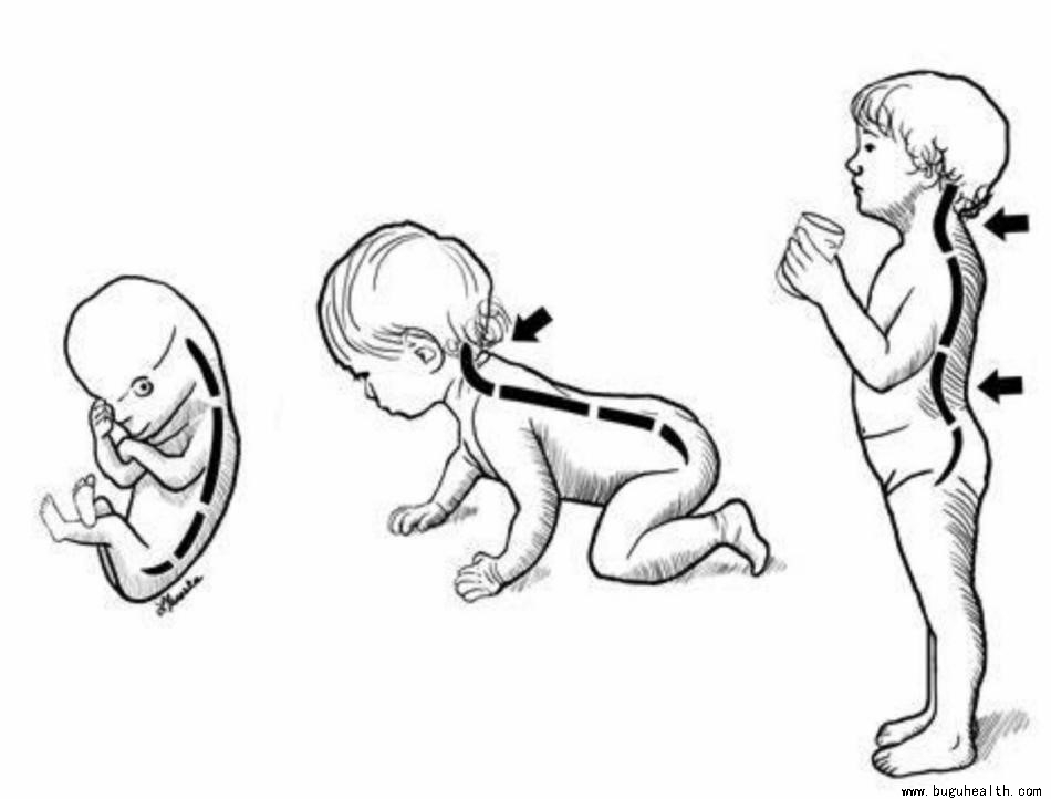 ���ǿ���ҽ������