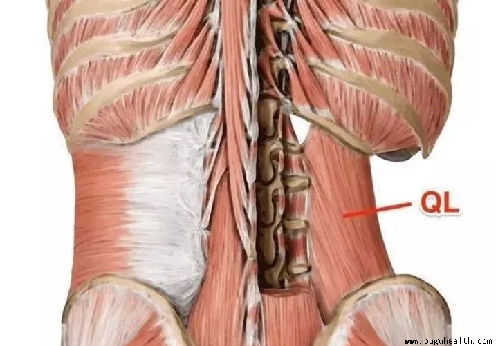 ��ʹ����������