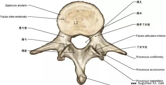 ��ʹ������������׵����ͻ��