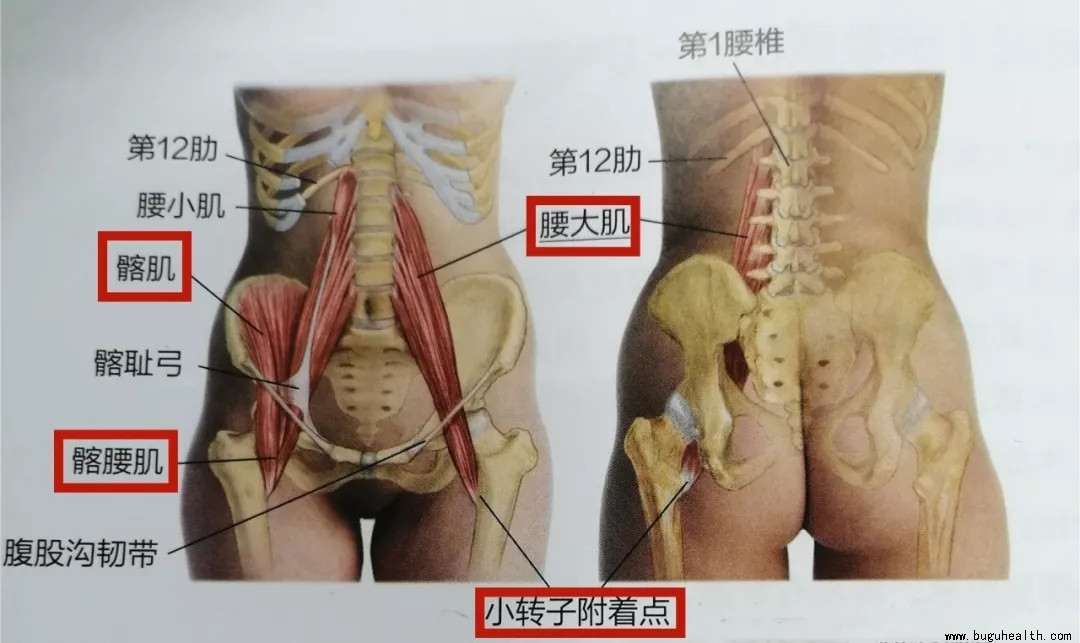 ���ǿ���ҽ������